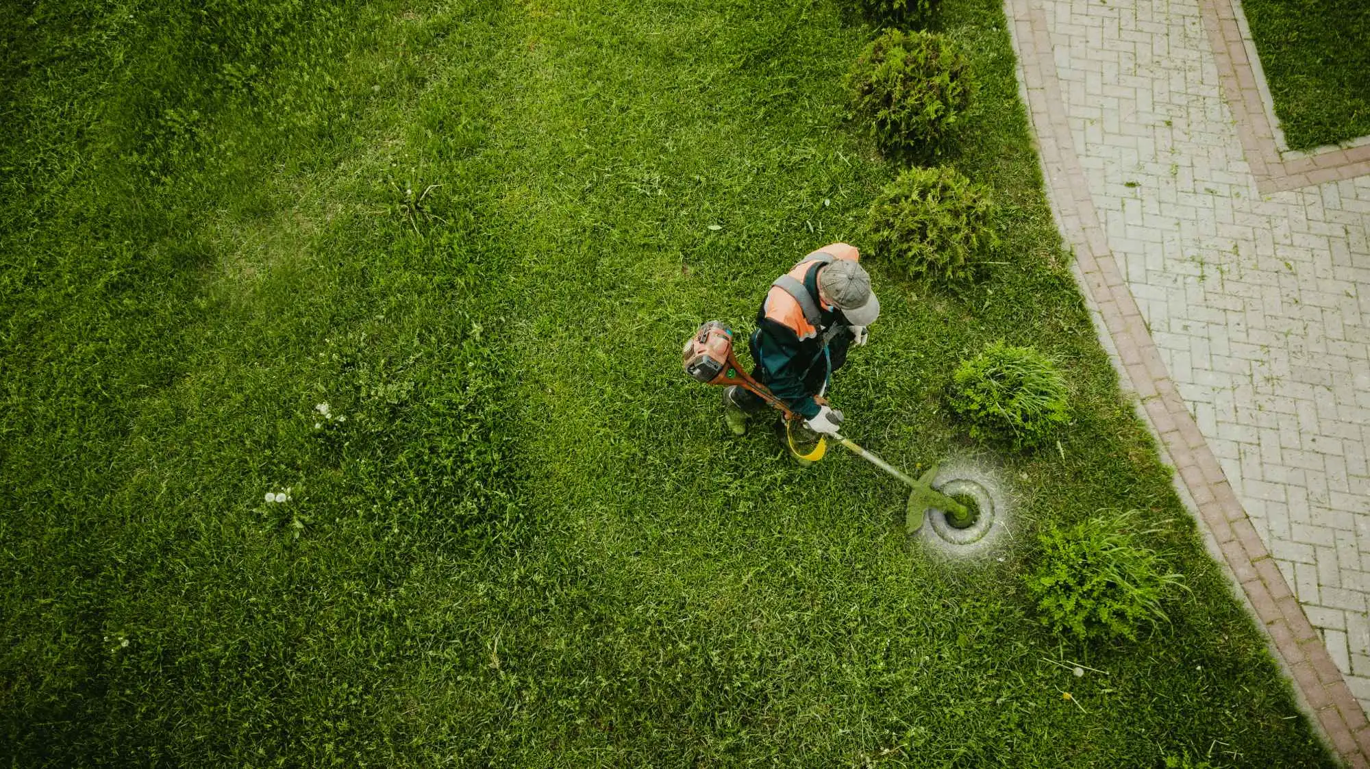 Landscaping work 2
